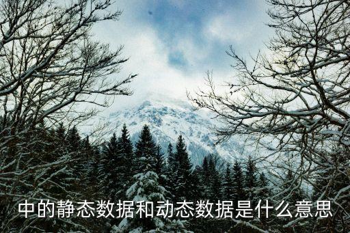 中的静态数据和动态数据是什么意思