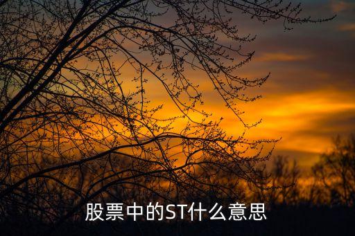 股票中的ST什么意思