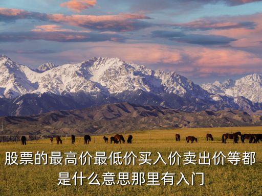 股票的最高价最低价买入价卖出价等都是什么意思那里有入门