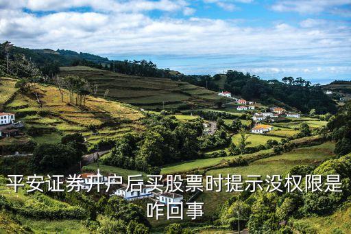 股票账户什么权限都没有，证券账户没有w风险警示权限是怎么回事