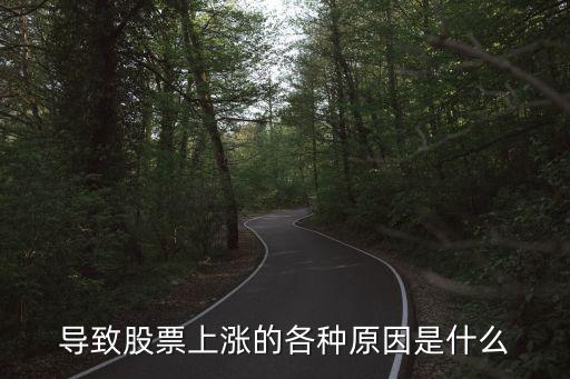 导致股票上涨的各种原因是什么
