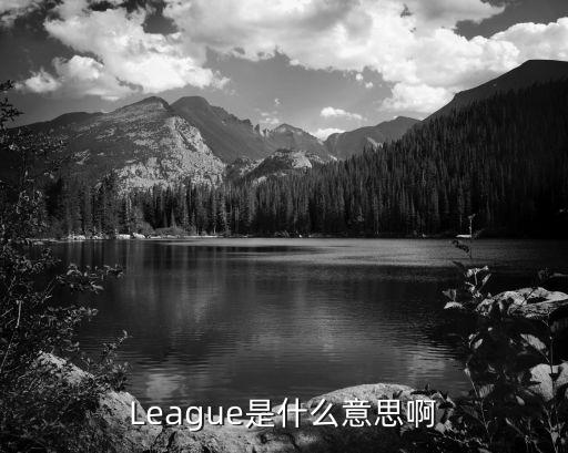 league是什么股票，League是什么意思啊