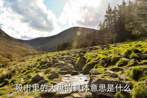 股市里的大盘的具体意思是什么