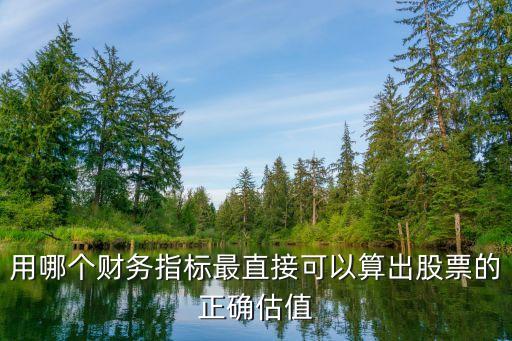 股票看估值看什么指标，用哪个财务指标最直接可以算出股票的正确估值