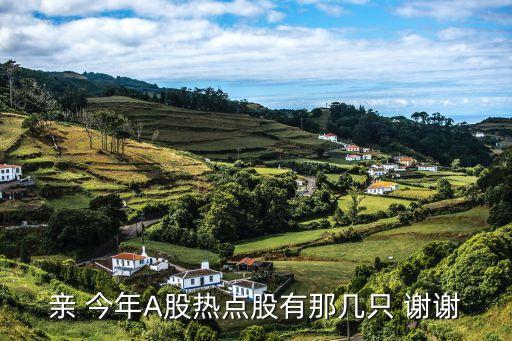 亲 今年A股热点股有那几只 谢谢