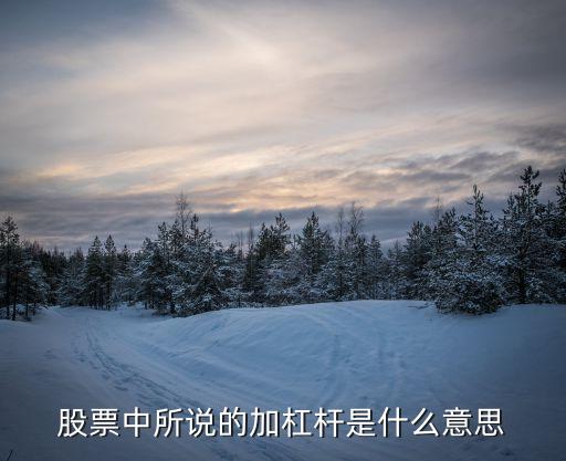 股票中所说的加杠杆是什么意思