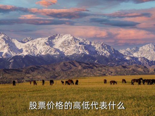 股票价格的高低代表什么
