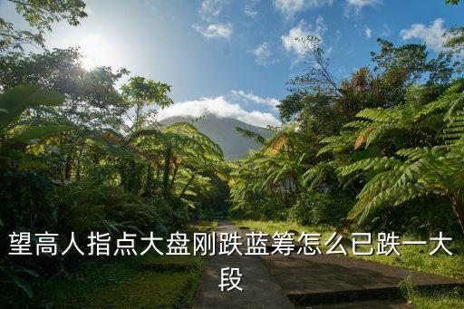 望高人指点大盘刚跌蓝筹怎么已跌一大段