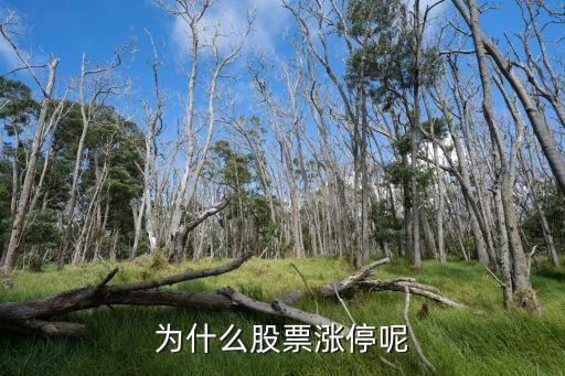 为什么股票涨停呢