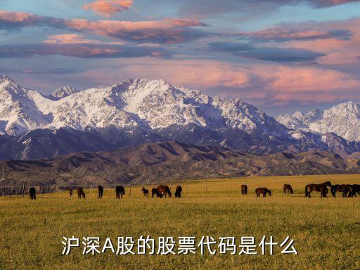 沪深A股的股票代码是什么