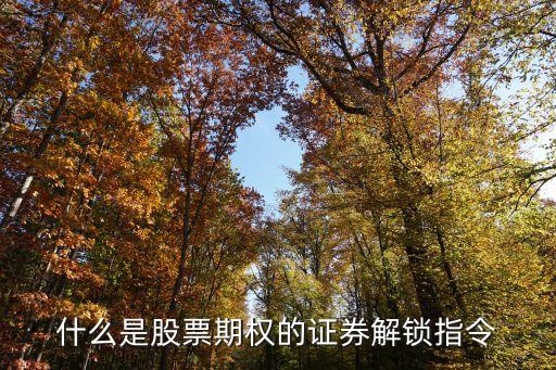 股票解锁指什么，什么是股票期权的证券解锁指令