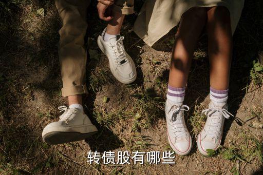 转债股有哪些