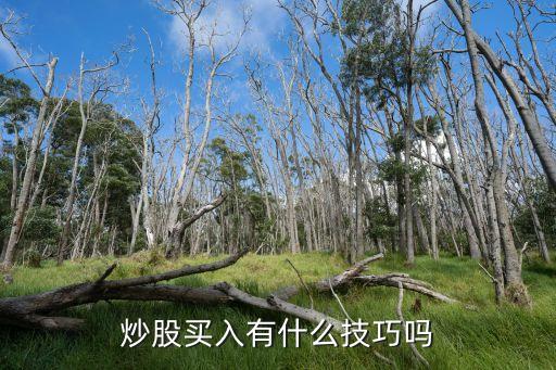 炒股买入有什么技巧吗