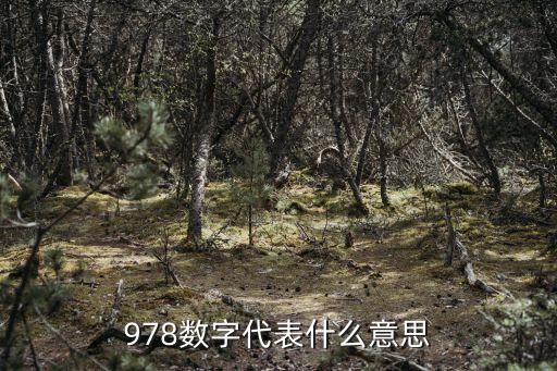 978数字代表什么意思