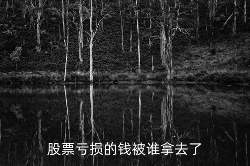 股票亏损的钱被谁拿去了