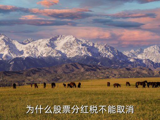 为什么股票分红税不能取消