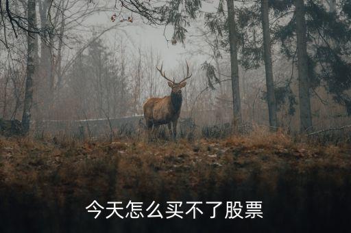 今天怎么买不了股票