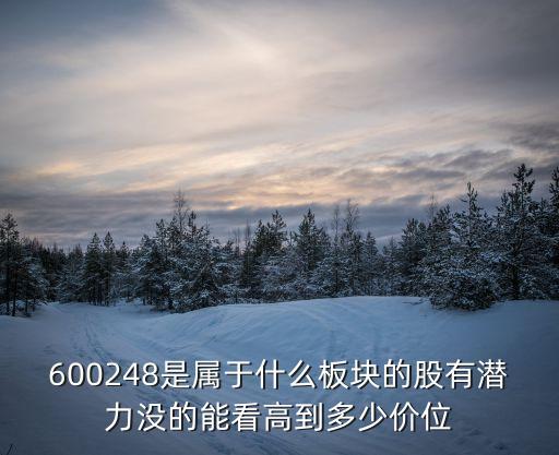 600248是属于什么板块的股有潜力没的能看高到多少价位