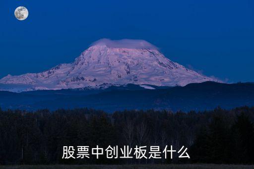 股票板块什么是创业板，何谓创业板