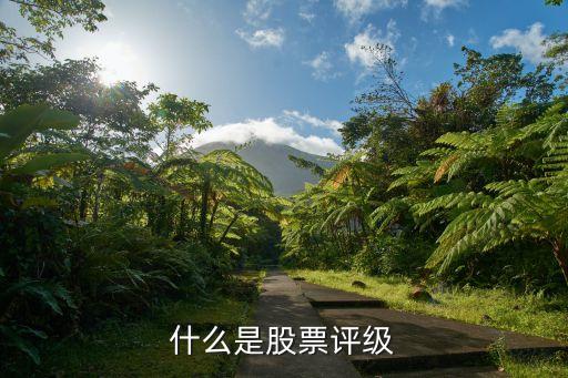 什么是股票评级