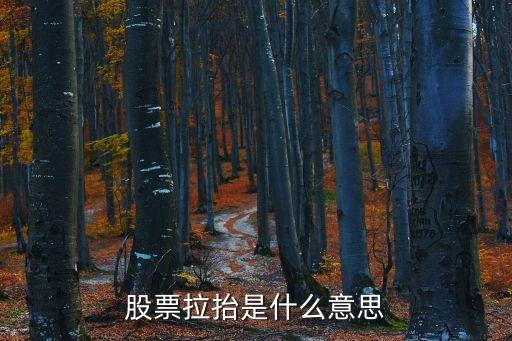 股票拉抬是什么意思
