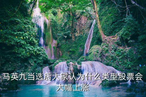 女足冠军什么股票会涨跌，印花税下调为什么股市会涨