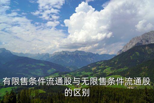 有限售条件流通股与无限售条件流通股的区别