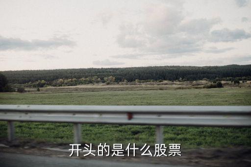 开头的是什么股票