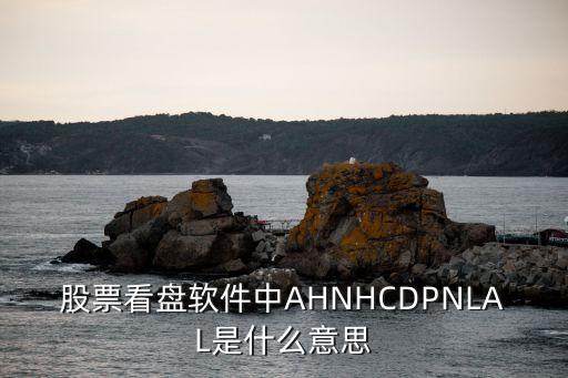 股票看盘软件中AHNHCDPNLAL是什么意思