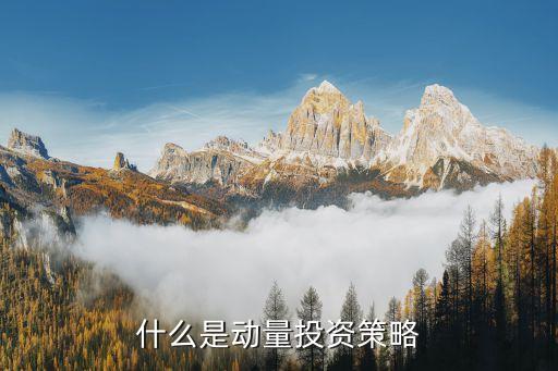 什么是动量投资策略