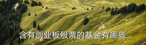 含有创业板股票的基金有哪些