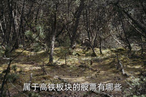 属于高铁板块的股票有哪些