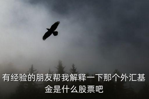 有经验的朋友帮我解释一下那个外汇基金是什么股票吧