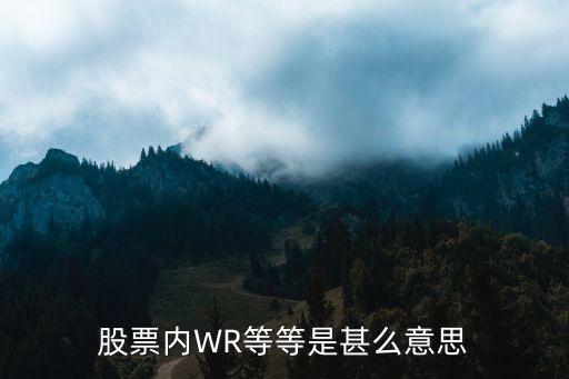 股票内WR等等是甚么意思