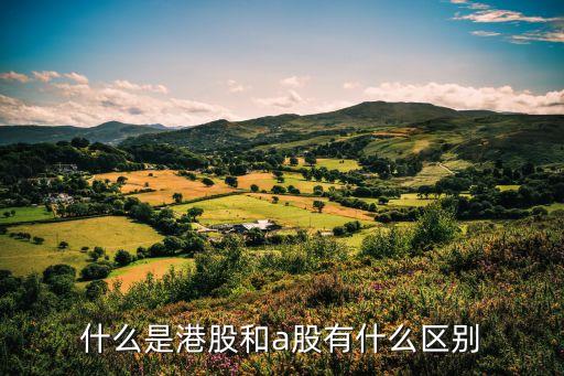 ppd是什么股票，药明康德是个什么股票