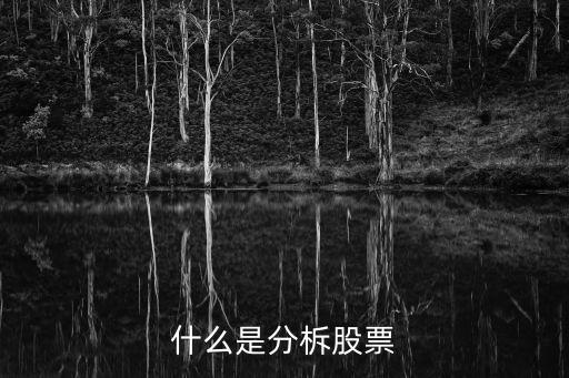 什么是分柝股票