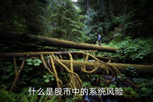 股票系统风险指什么情况，股市的系统性风险有哪些