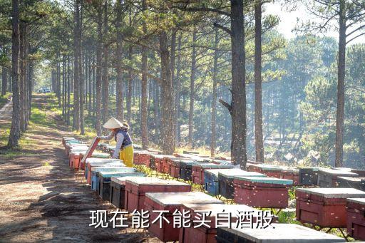 现在能不能买白酒股