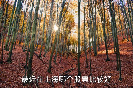 最近在上海哪个股票比较好
