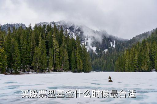 什么时候持有中国股票基金，股票型基金什么时候买进