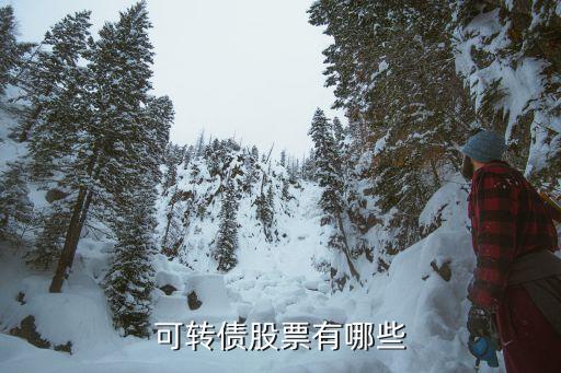 长汽转债对应什么股票，可转债股票有哪些的最新相关信息