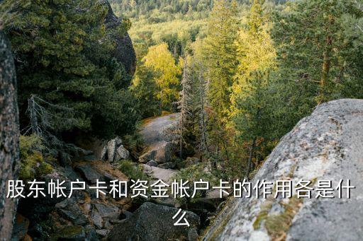 股东帐户卡和资金帐户卡的作用各是什么