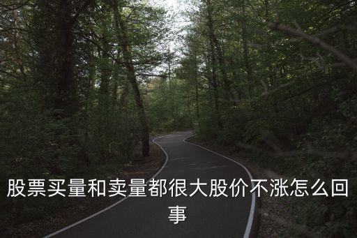 几千只股票为什么不涨，股票买量和卖量都很大股价不涨怎么回事