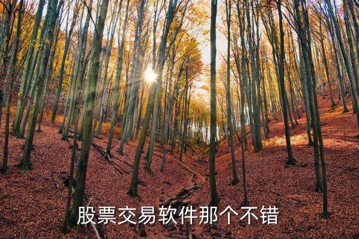 股票震荡用什么交易软件好，股票交易软件那个不错