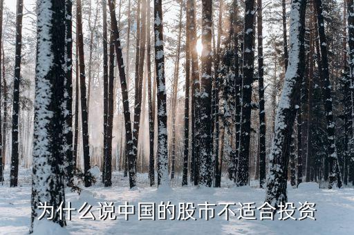 为什么说中国的股市不适合投资