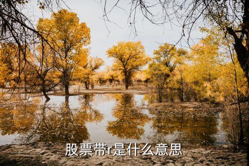 股票带r是什么意思