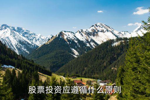 在购买股票时应该遵循什么，我国沪深股市的最基本买卖原则是什么请解释