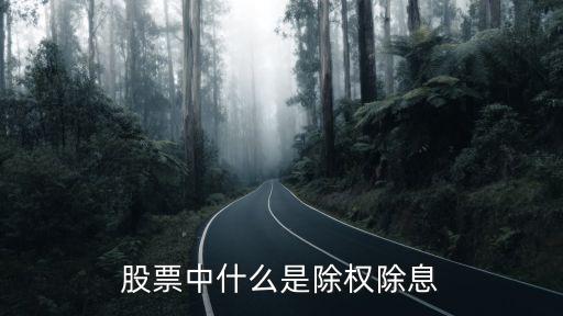 股票的除权条件是什么，股票除权的条件是什么