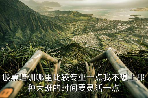 股票培训哪里比较专业一点我不想上那种大班的时间要灵活一点