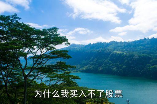 为什么我买入不了股票